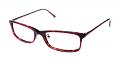 Newhall Discount Eyeglasses Purple