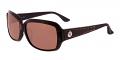 Alameda Discount Prescription Sunglasses Brown 