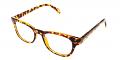 Oxnard Discount Eyeglasses Demi 