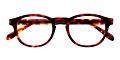 Loomis Eyeglasses Brown Demi 