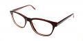 Pacoima Discount Eyeglasses Brown Red