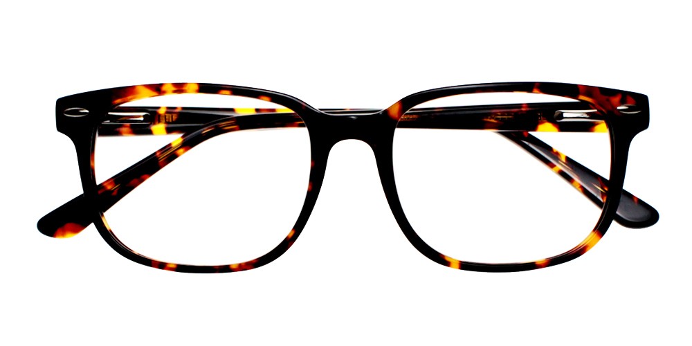 Berkeley Eyeglasses Demi